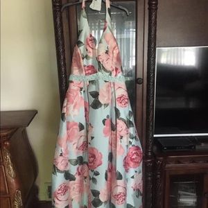 Homecoming/Prom dress